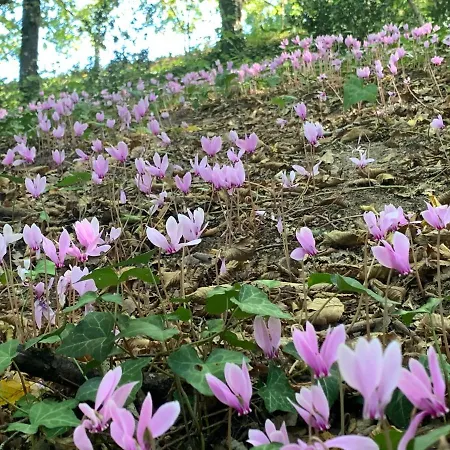 La Maison De Caillou * La Roche-Chalais