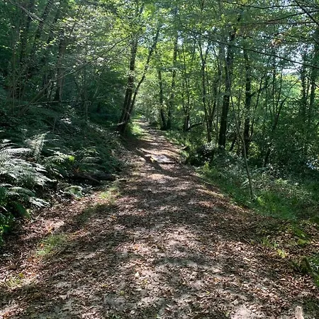 La Maison De Caillou La Roche-Chalais