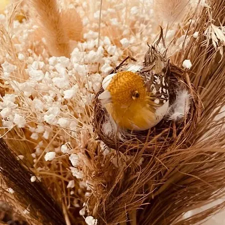 La Maison De Caillou *