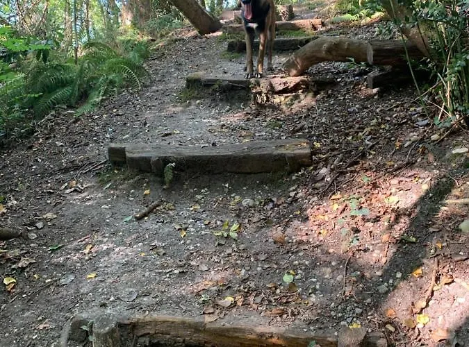 호텔 La Maison De Caillou *