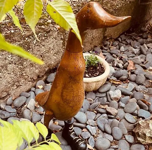 La Maison De Caillou