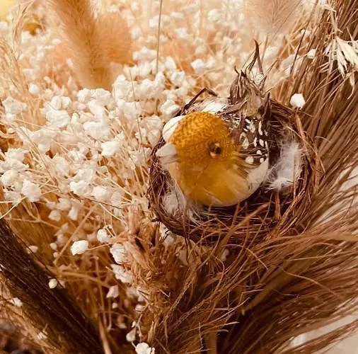 La Maison De Caillou *